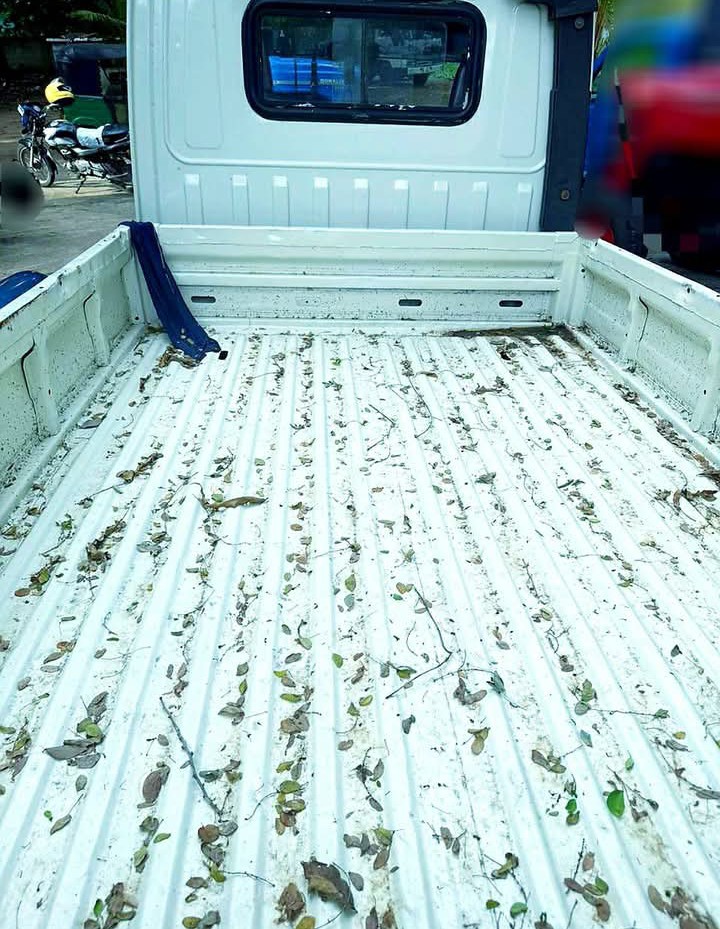Mahindra Maxximo 2012 - Used Truck sale in Sri Lanka - patpat.lk