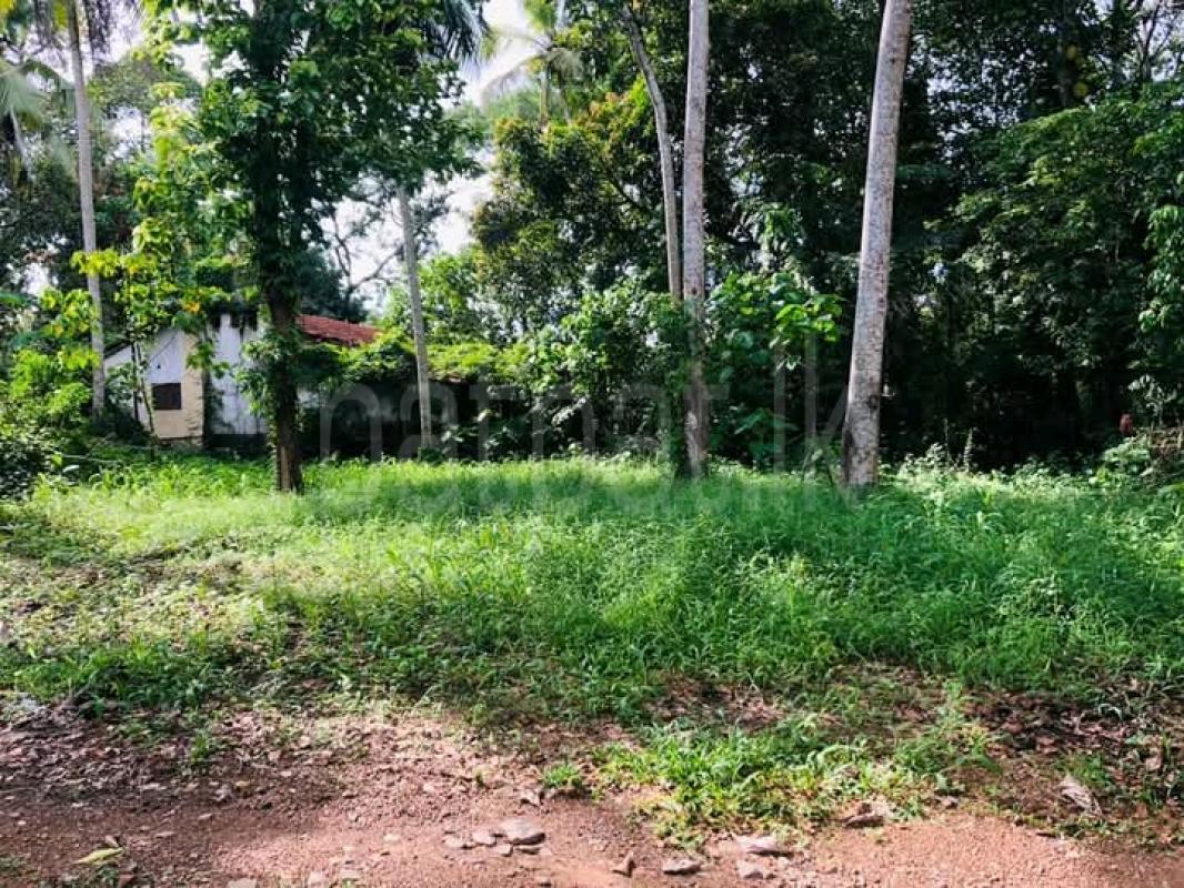 Commercial Land for Sale in Bandaragama