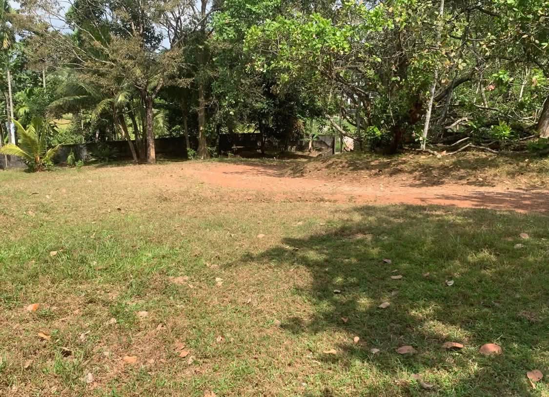 Residential Land for Sale in Homagama ads-image-1