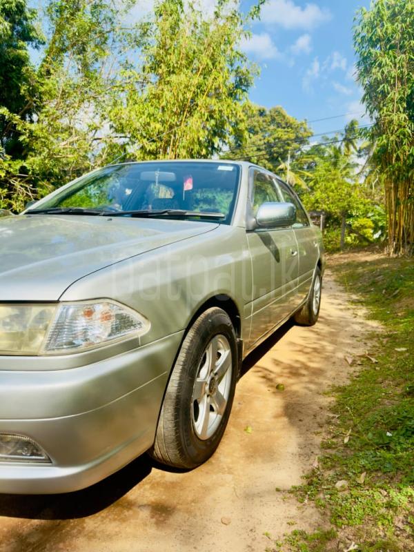 Advertisement image 2