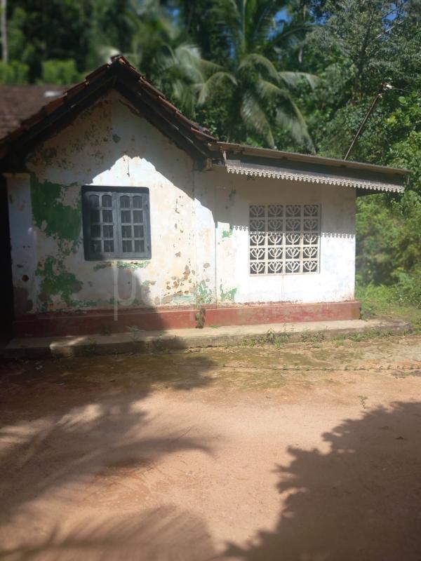 House for Rent in Avissawella