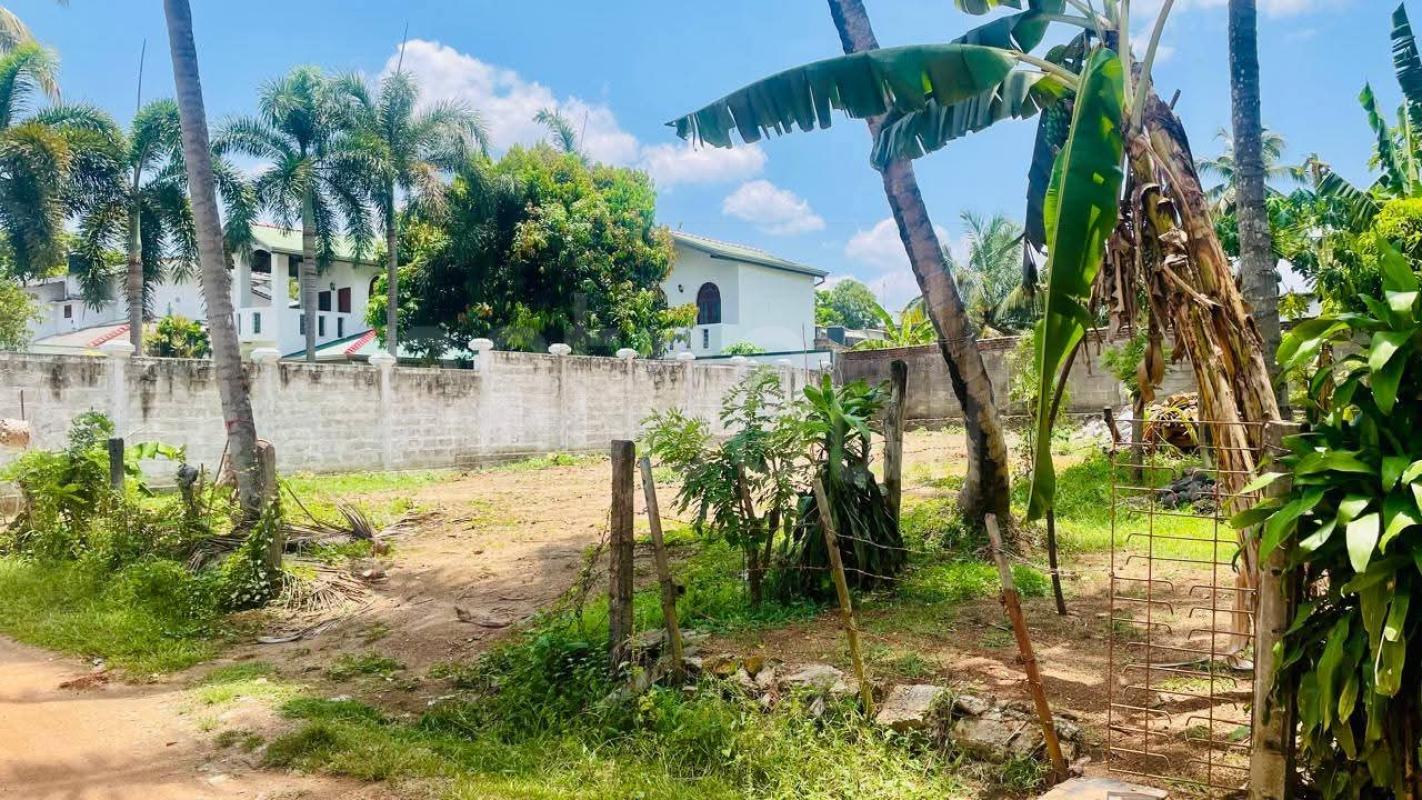 Residential Land for Sale in Kurunegala ads-image-1