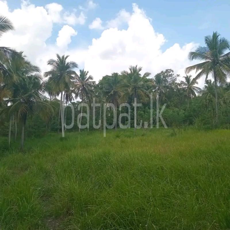 Agricultural Land for Sale in Mawathagama