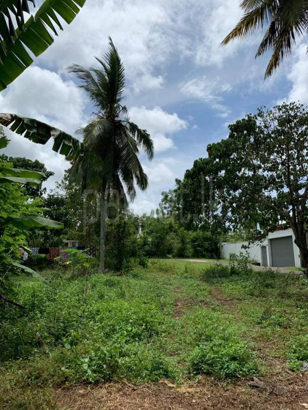 Residential Land for Sale in Meegoda