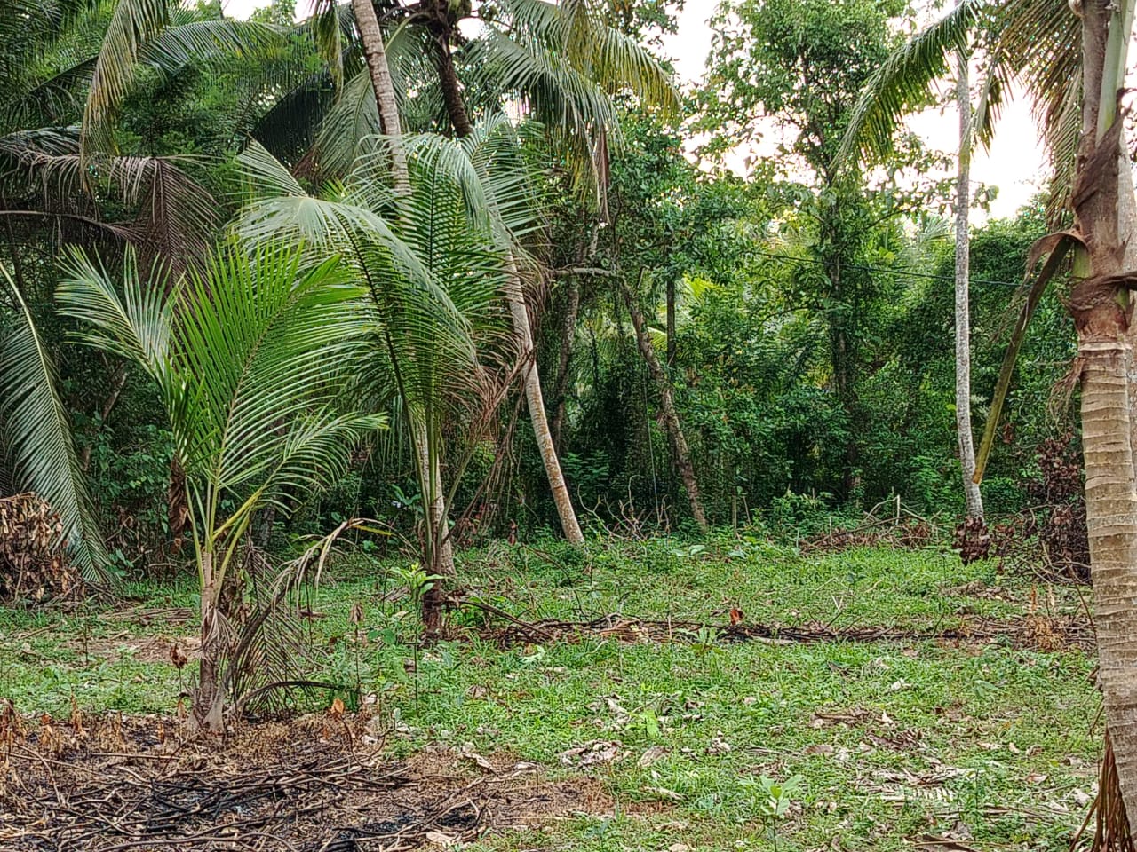 Residential Land for Sale in Dankotuwa