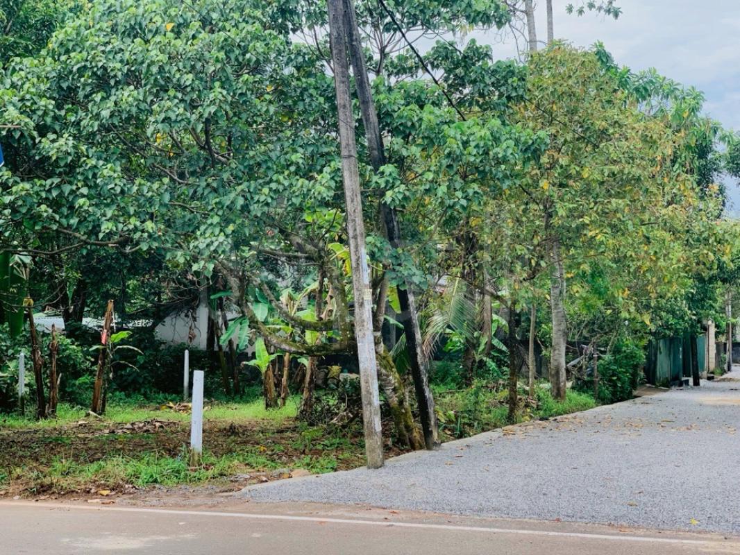 Residential Land for Sale in Madapatha