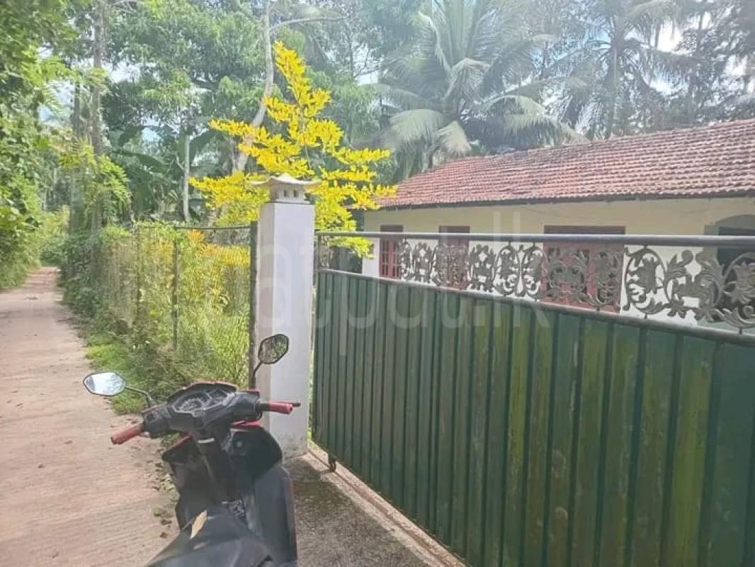 Residential Land for Sale in Veyangoda ads-image-1