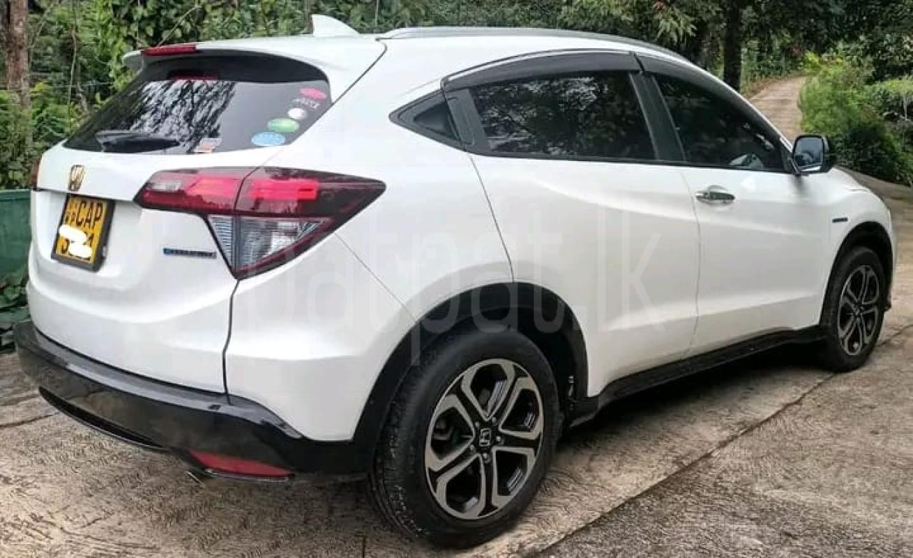 Advertisement image 3