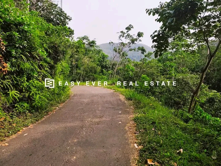 Commercial Land for Sale in Minuwangoda