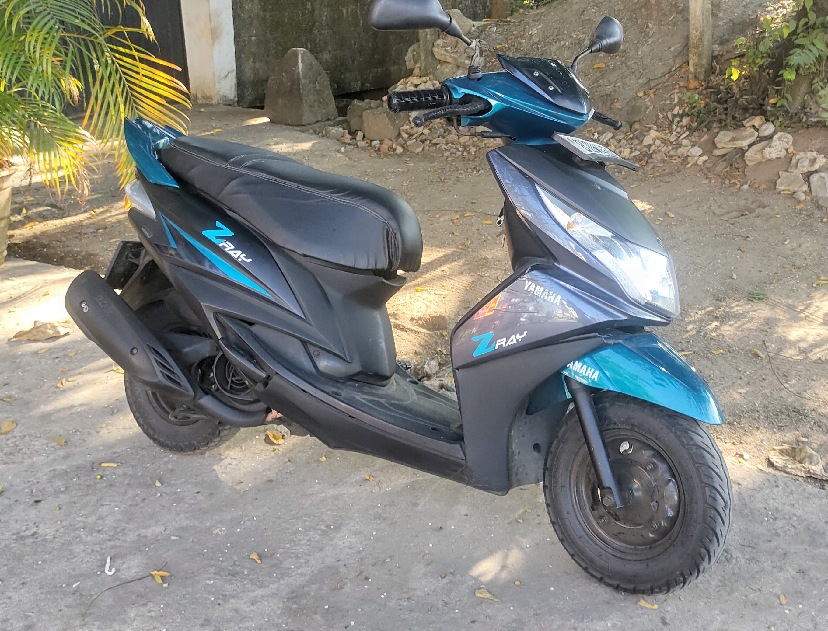 Advertisement image 5