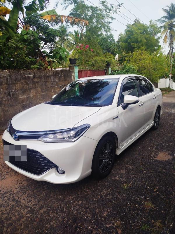 Advertisement image 1