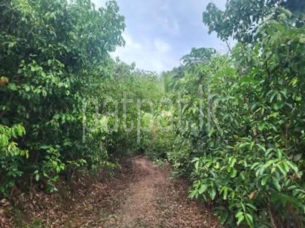 Advertisement image 1