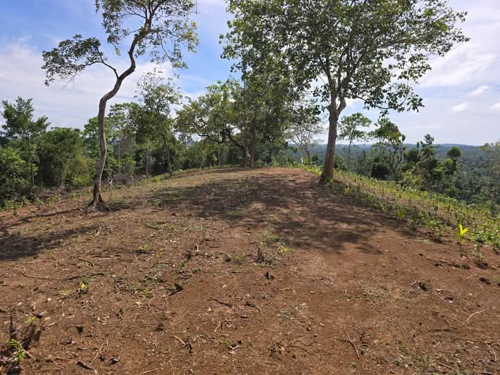 Agricultural Land for Sale in Weligama