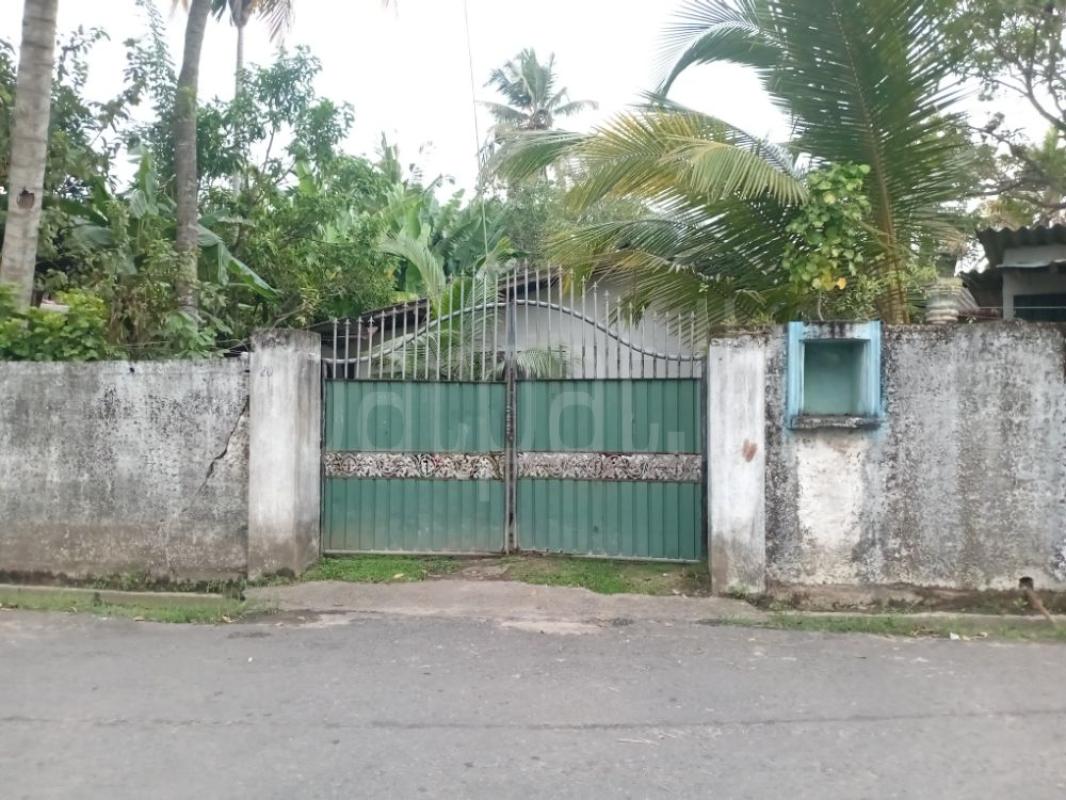 premium-listing-image