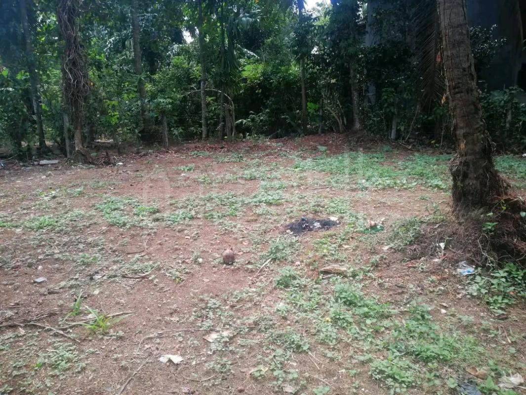 Agricultural Land for Sale in Ridigama