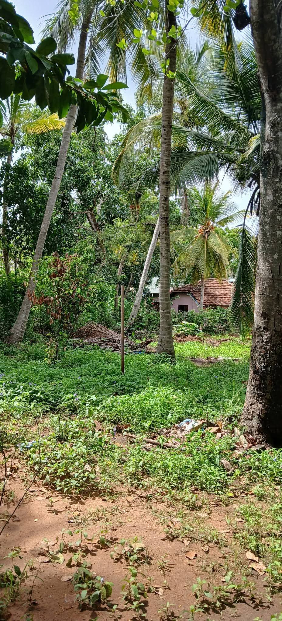 Residential Land for Sale in Kataragama