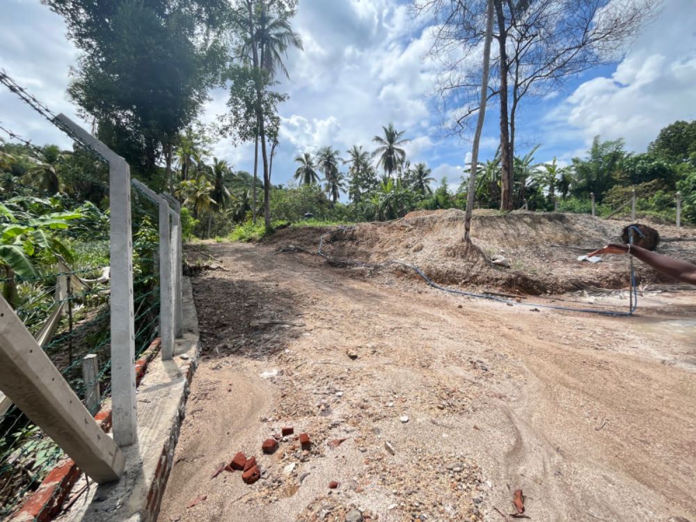 Agricultural Land for Sale in Giriulla