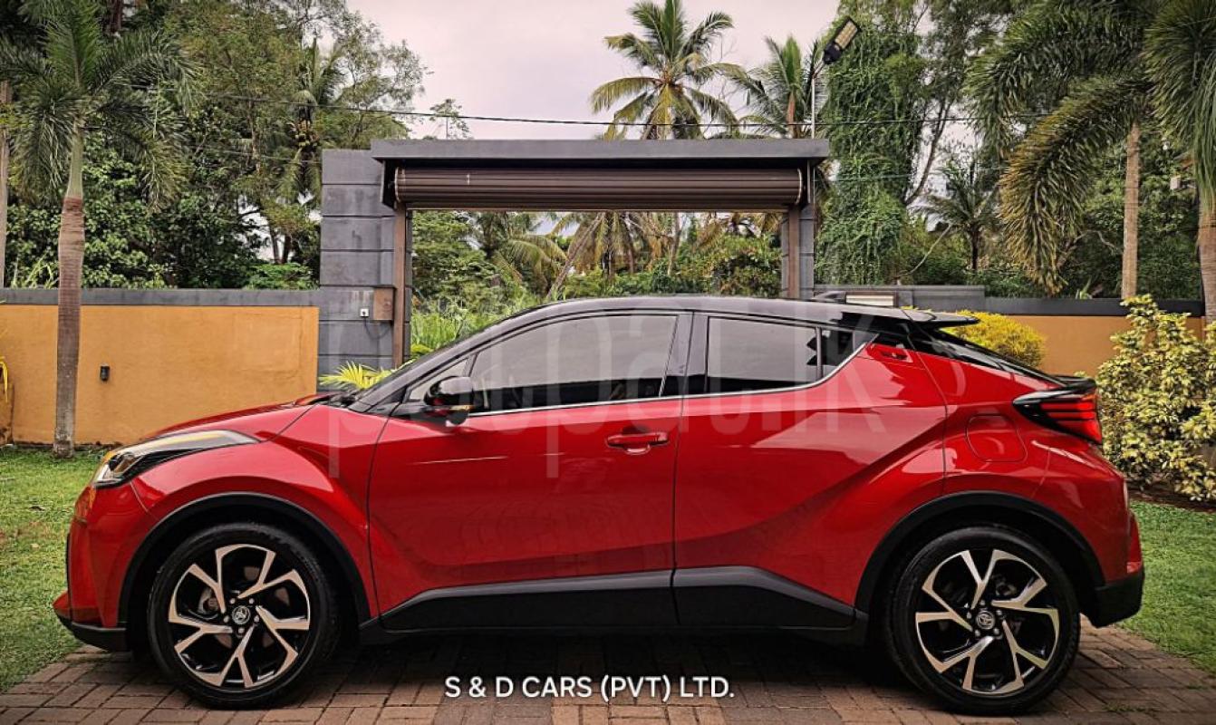 Advertisement image 3