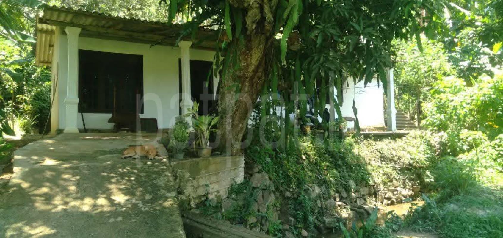 House for Sale in Pasyala ads-image-1