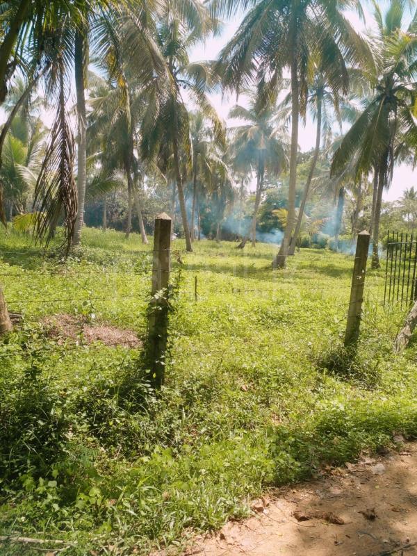 Residential Land for Sale in Wariyapola
