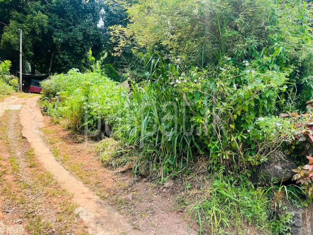 Residential Land for Sale in Pamunugama