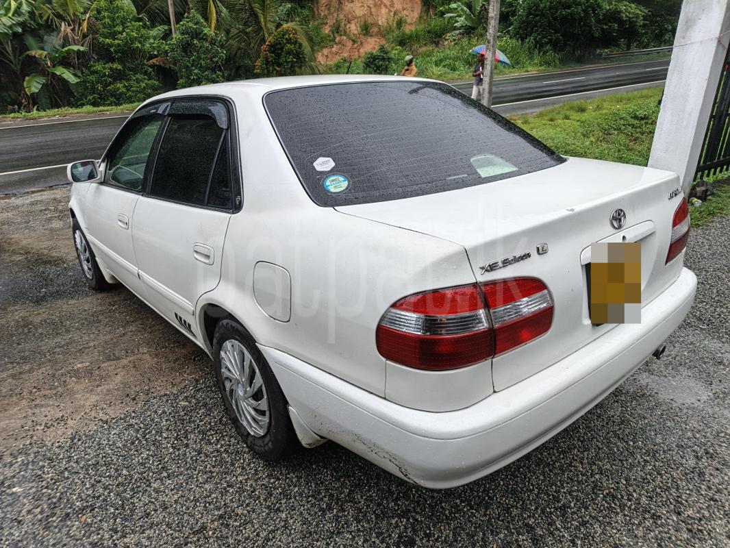 Toyota Corolla 1999 - பயன்படுத்தப்பட்டது கார் sale in Sri Lanka - patpat.lk