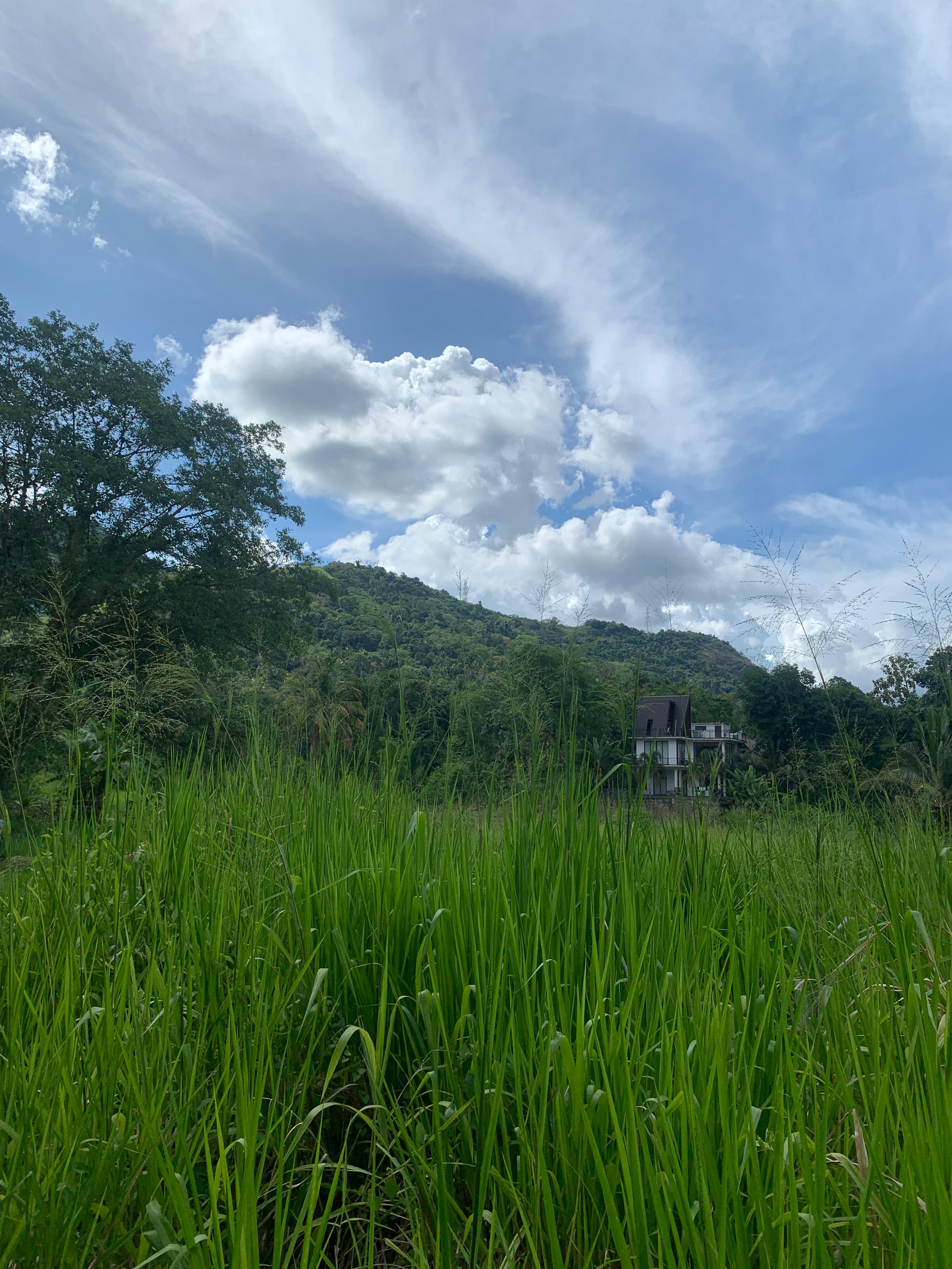 Residential Land for Sale in Matale