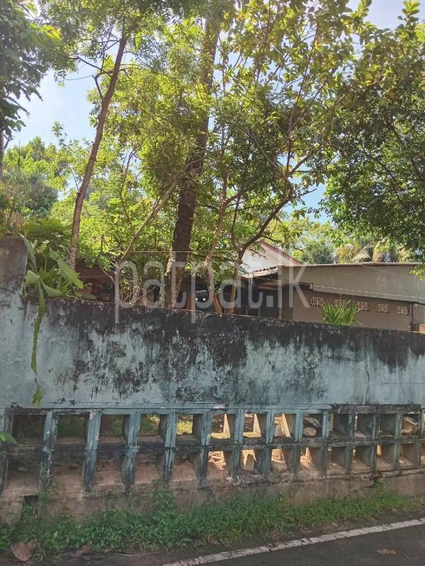 Commercial Land for Sale in Maharagama