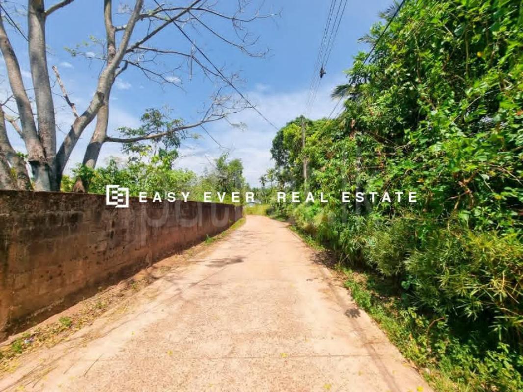 Residential Land for Sale in Veyangoda