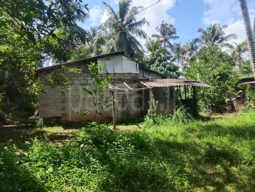 House for Sale in Radawana