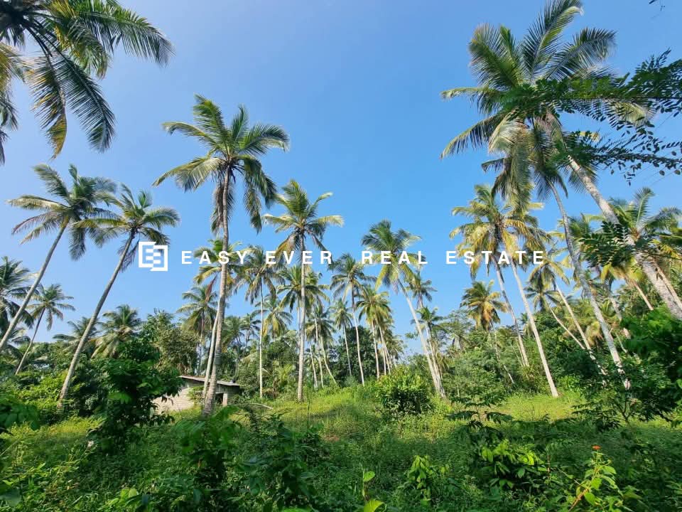 Residential Land for Sale in Veyangoda
