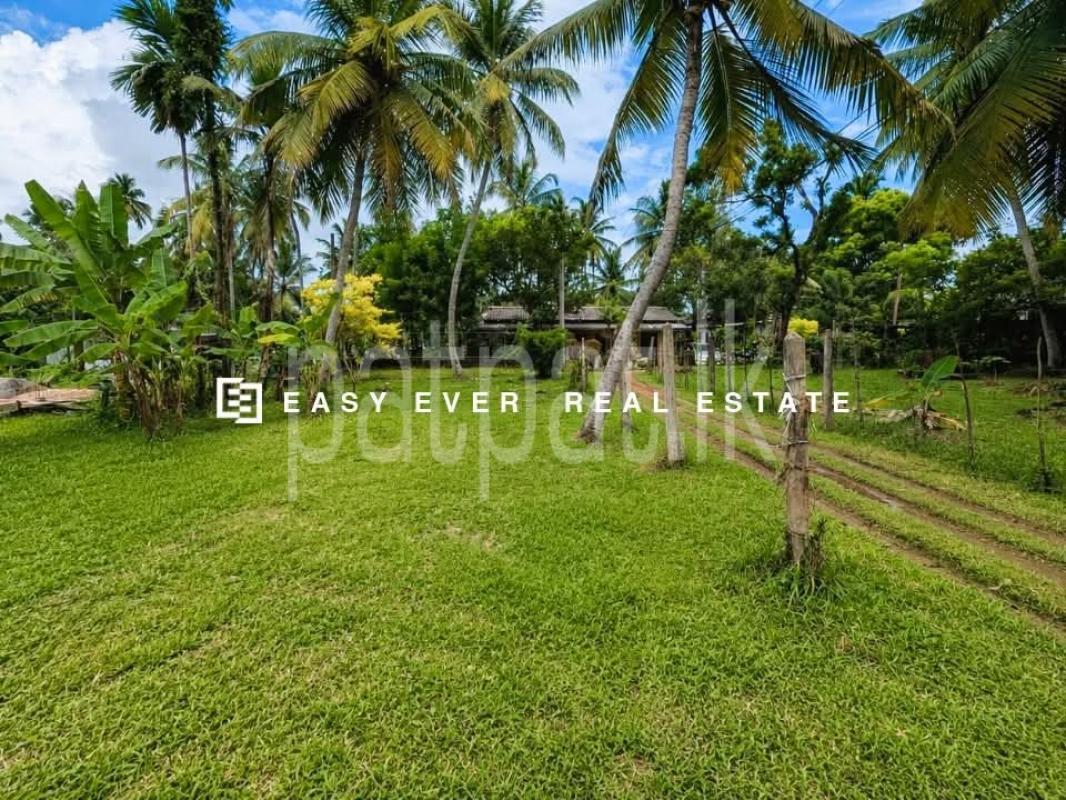 Residential Land for Sale in Ja-Ela