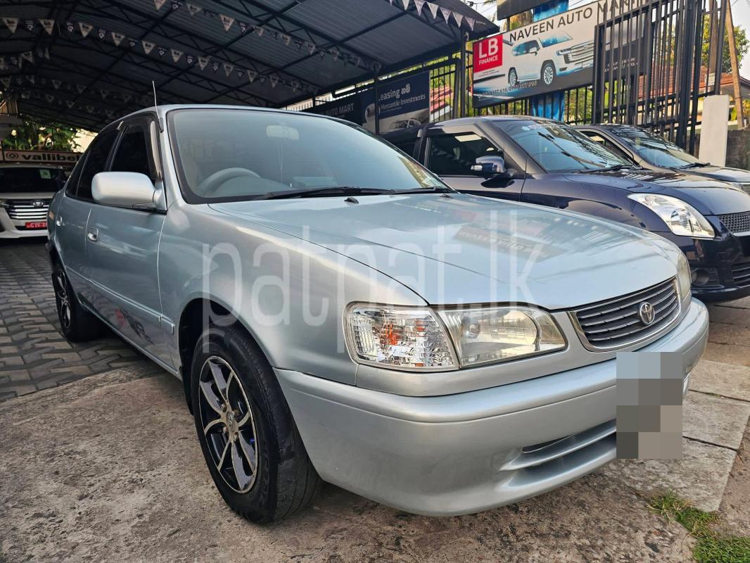 Advertisement image 2