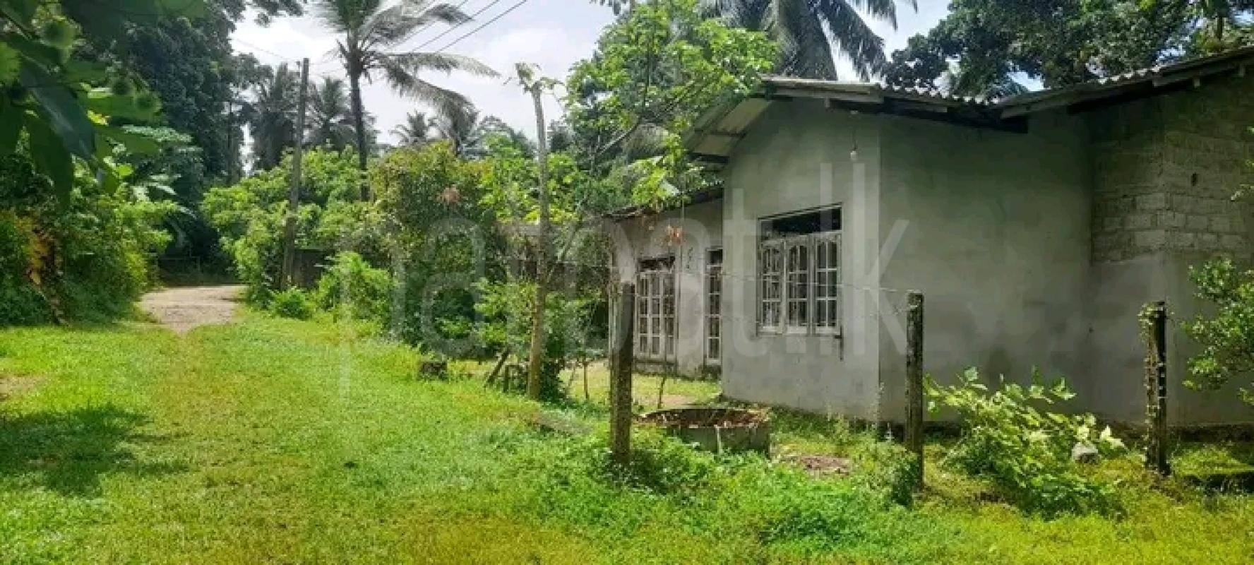 House for Sale in Dompe ads-image-1