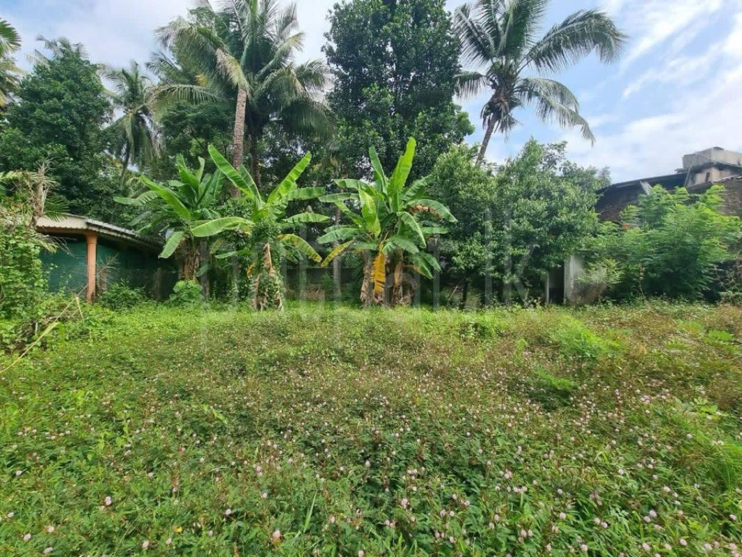 Residential Land for Sale in Polgahawela