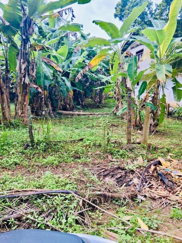 Residential Land for Sale in Galle