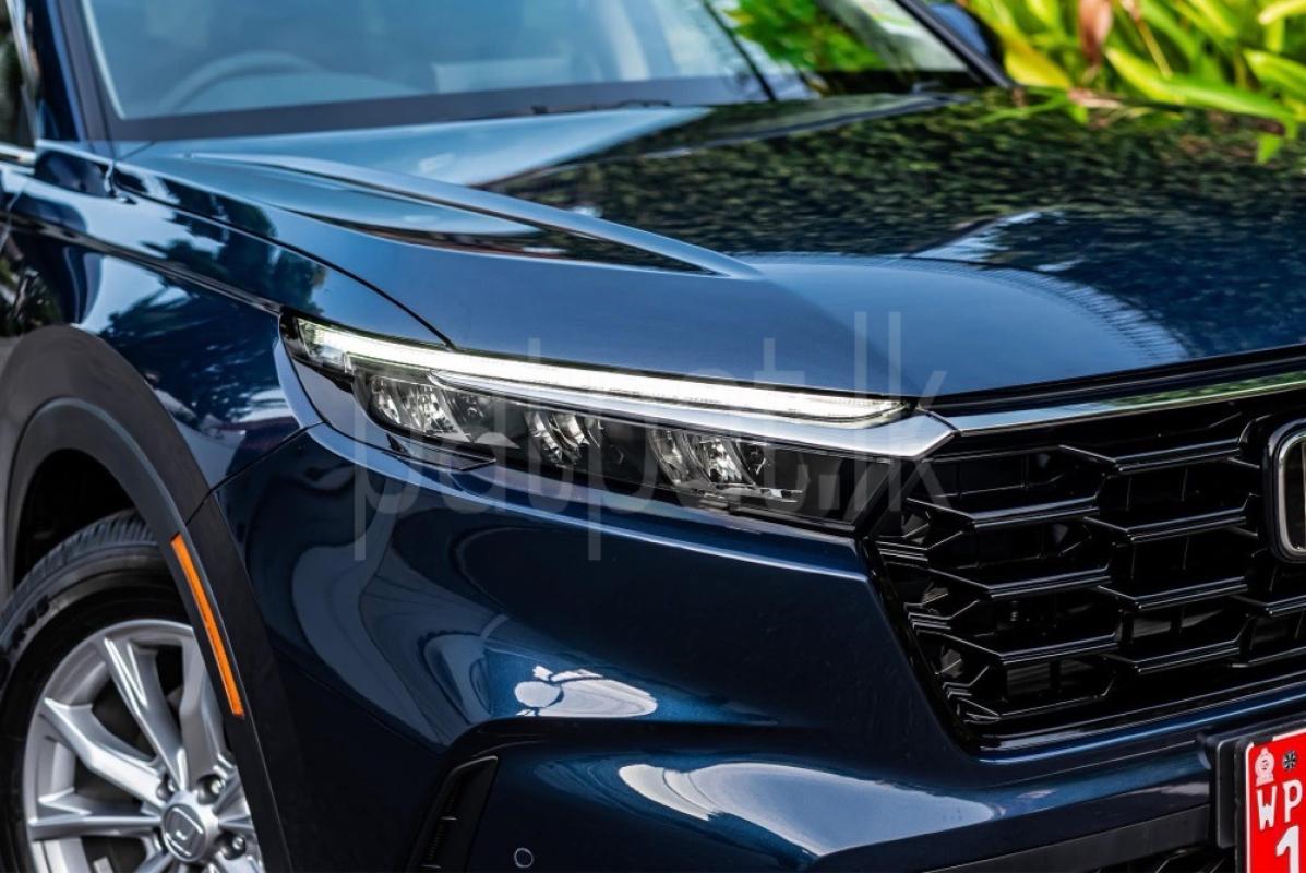 Advertisement image 6