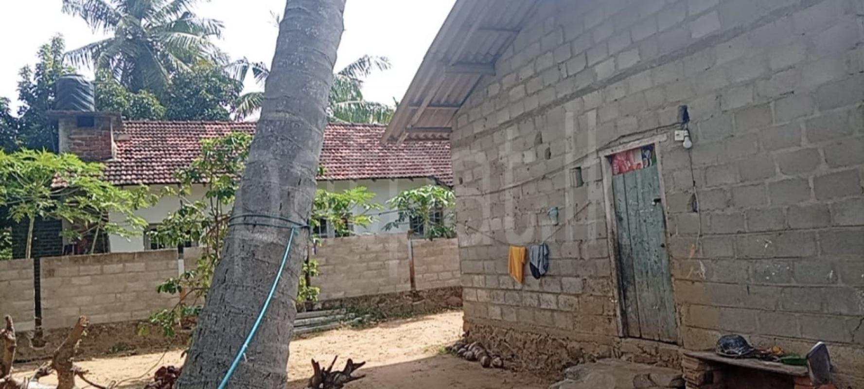 Residential Land for Sale in Kurunegala