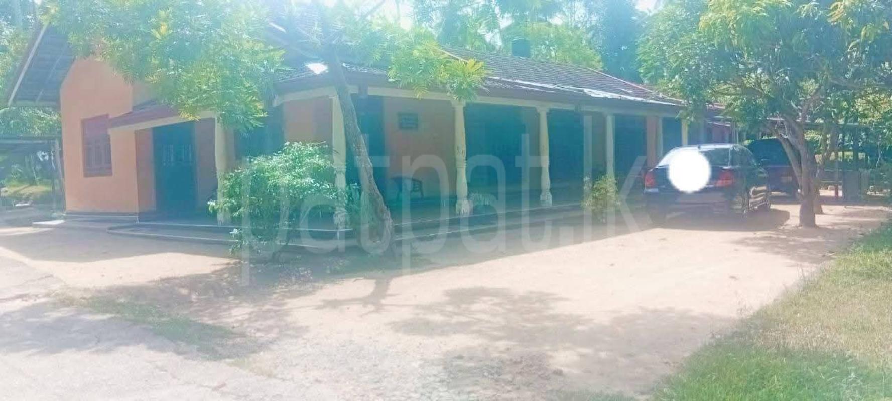 House for Sale in Divulapitiya ads-image-1