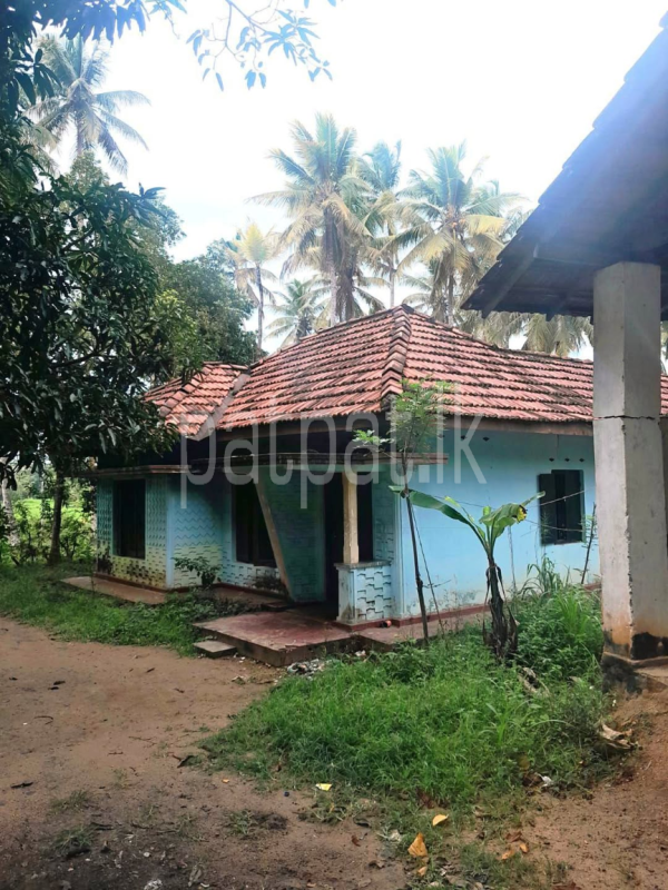 House for Sale in Giriulla