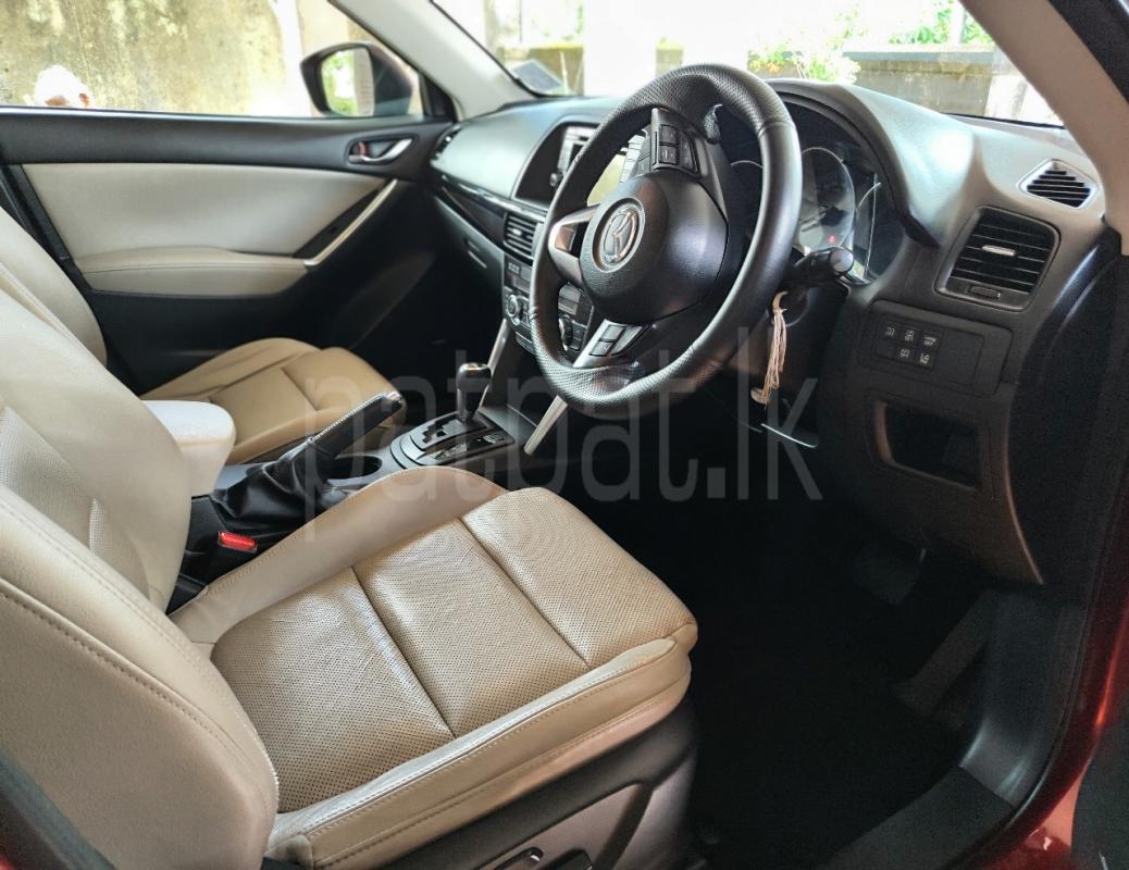 Advertisement image 2