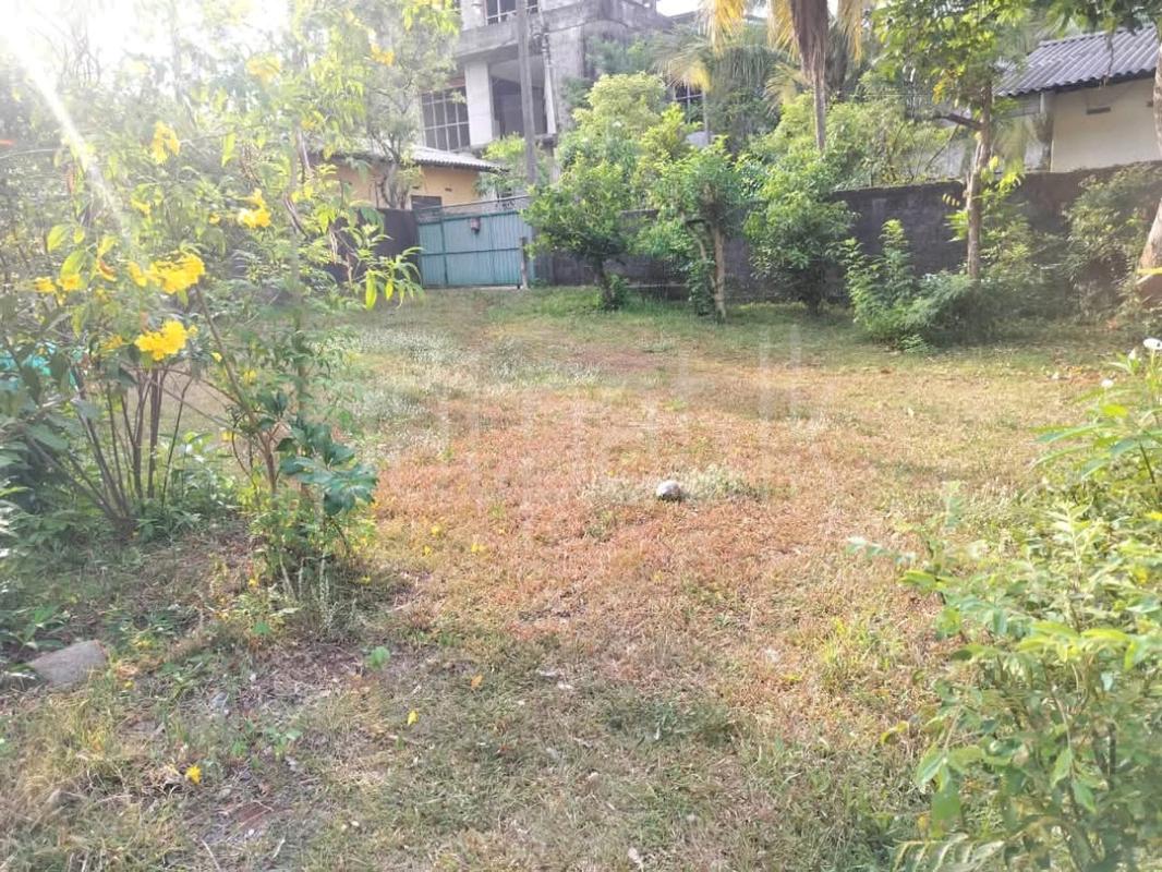 Commercial Land for Sale in Wattala