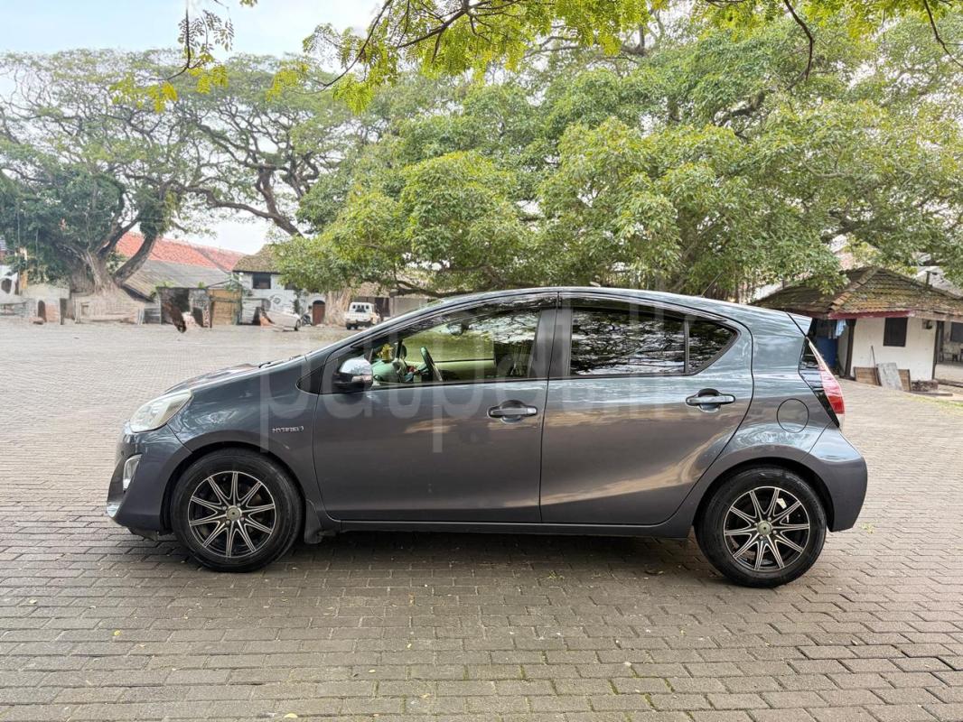 Advertisement image 3