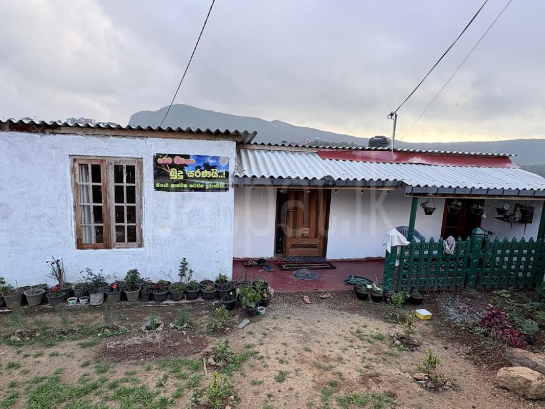 Commercial Land for Sale in Mipilimana ads-image-1
