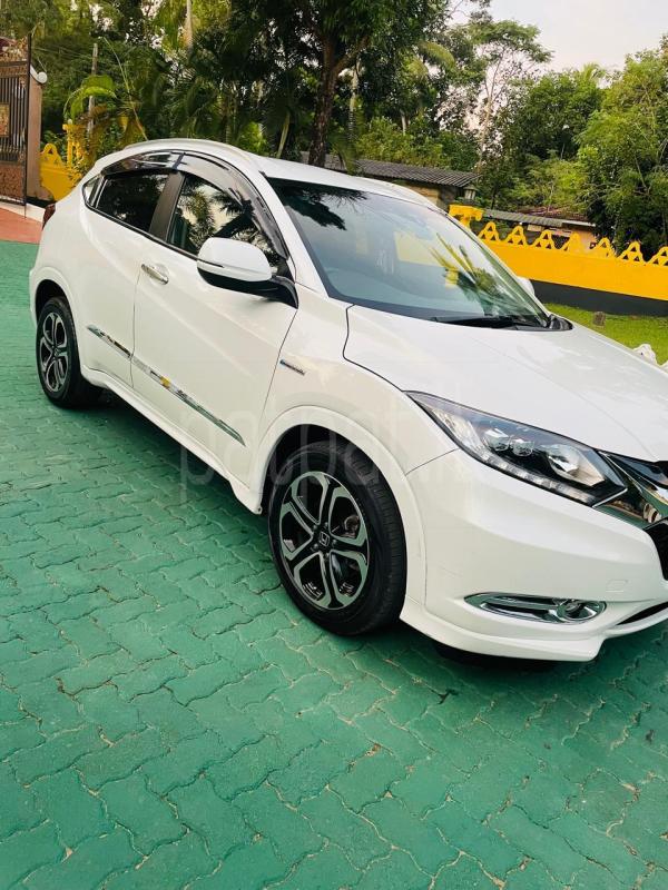 Advertisement image 6