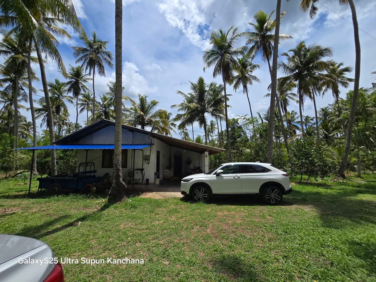 Residential Land for Sale in Divulapitiya