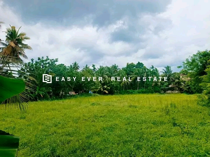 Commercial Land for Sale in Minuwangoda