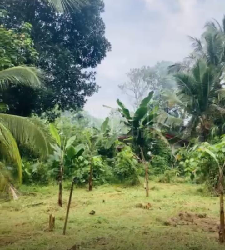 Residential Land for Sale in Alawwa ads-image-1