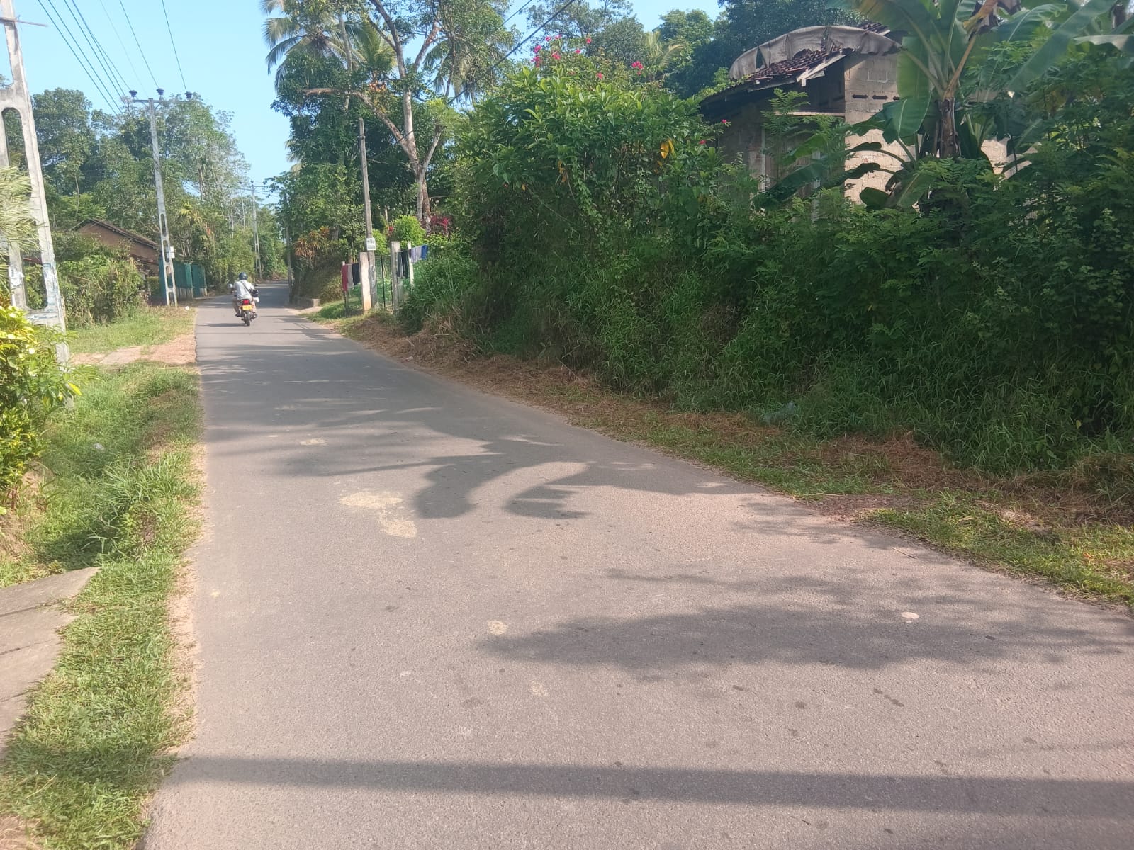 Agricultural Land for Sale in Horana