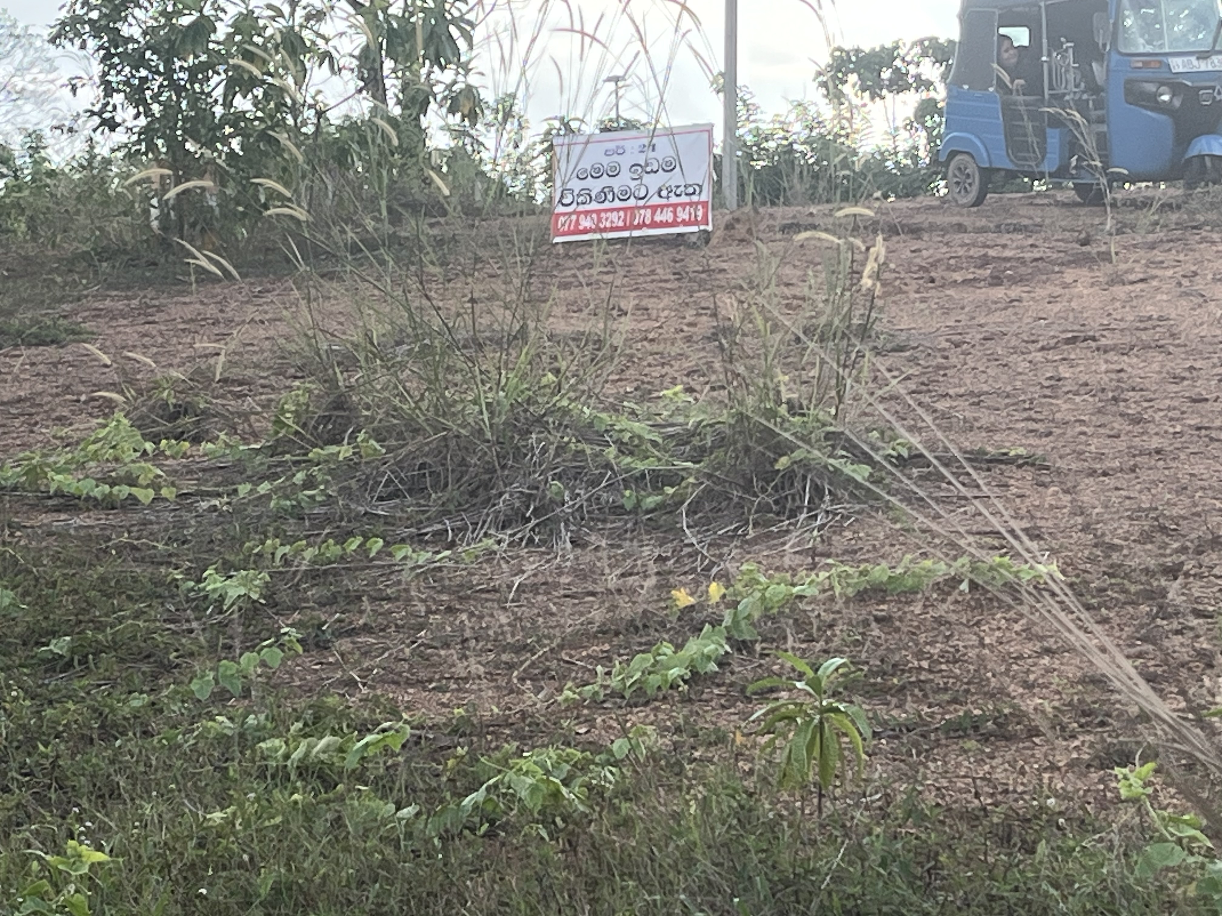 Residential Land for Sale in Ahungalla